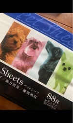 52040