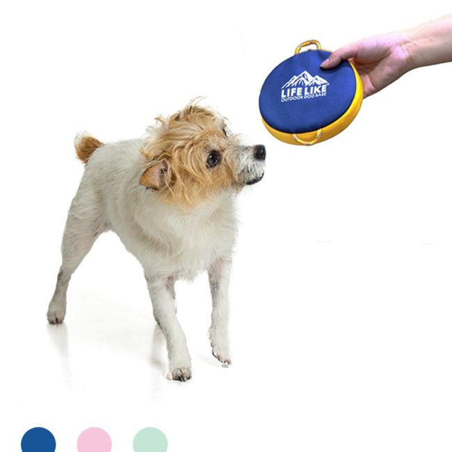 16159