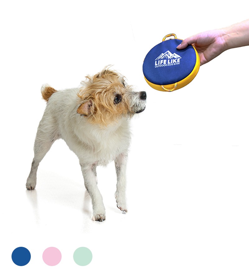 16159