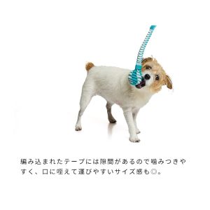 16156
