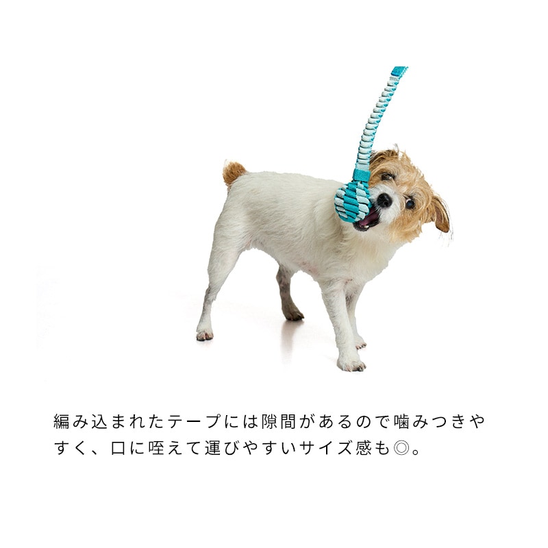 16156