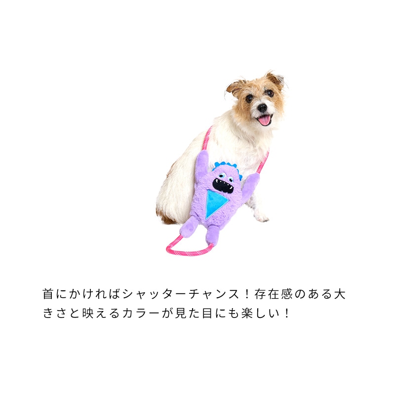 16153