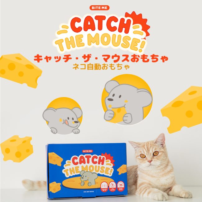 4304
